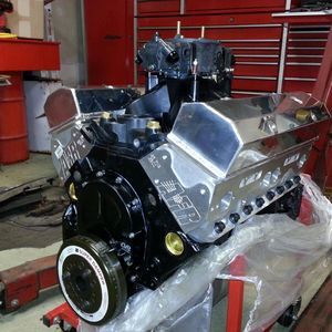 Meet your Posher, Patrick